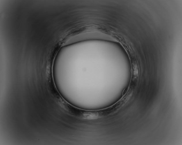 X0000086780559200705111757