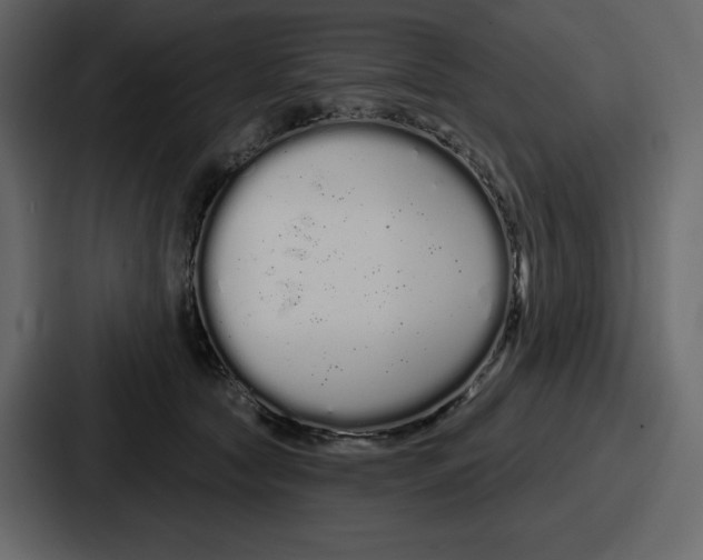 X0000086780561200705111757