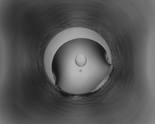 X0000086780562200705111757