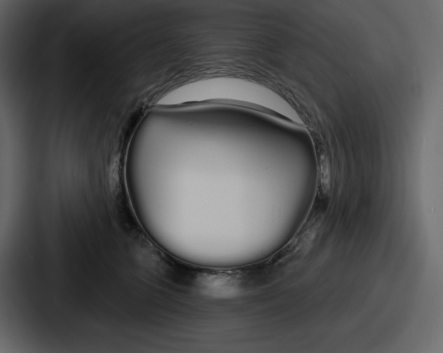 X0000086780563200705111757