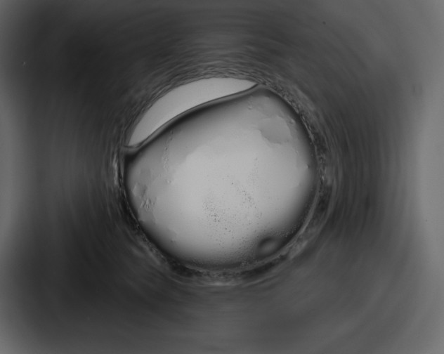 X0000086780565200705111757