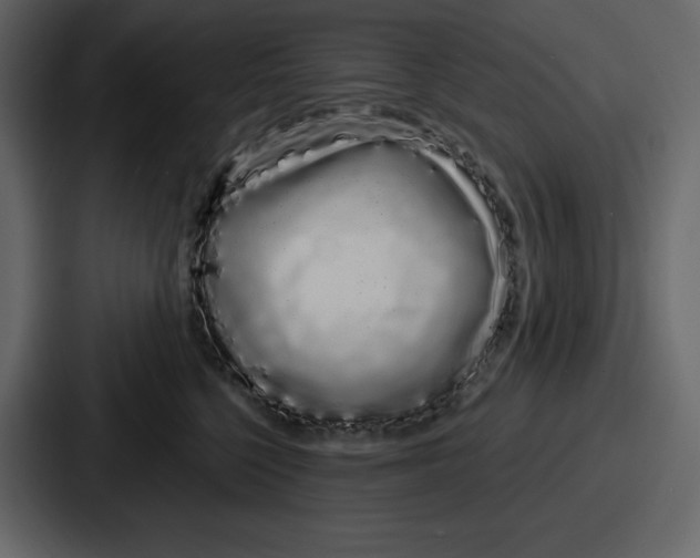 X0000086780568200705111757