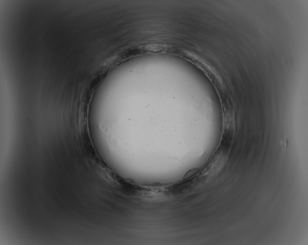 X0000086780569200705111757