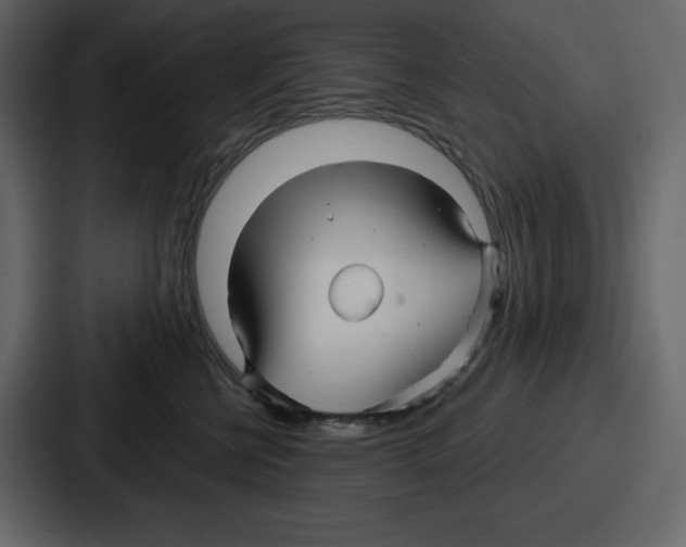 X0000086780570200705111757