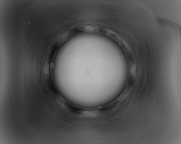 X0000086780571200705111757