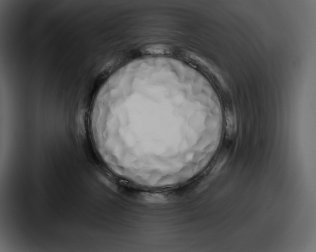 X0000086780572200705111757