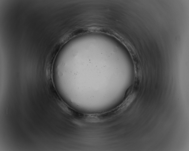 X0000086780573200705111757