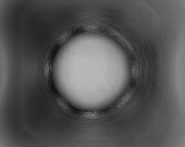 X0000086780574200705111757