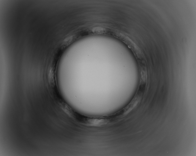 X0000086780575200705111757