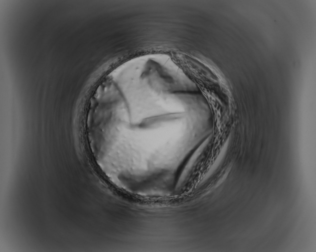 X0000086780577200705111757