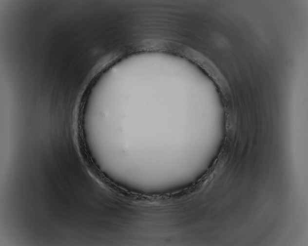 X0000086780578200705111757