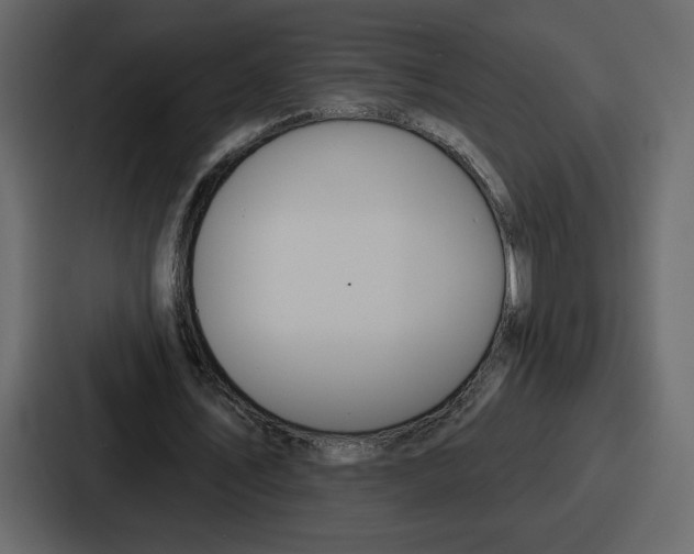 X0000086780579200705111757