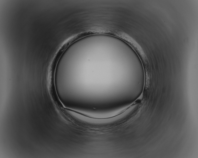 X0000086780580200705111757