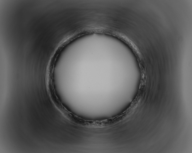 X0000086780582200705111757