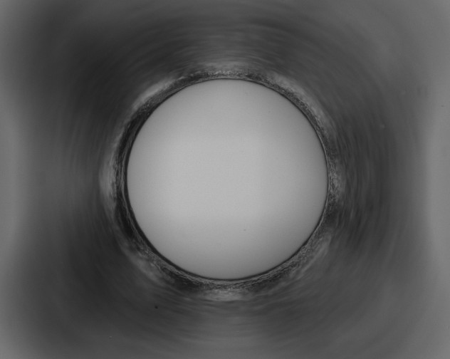 X0000086780583200705111757