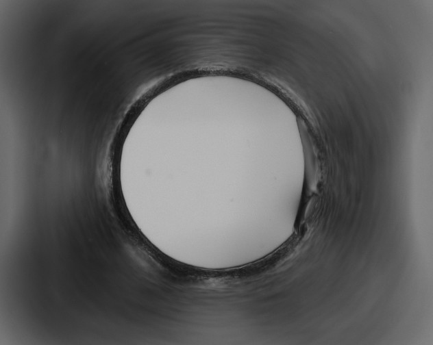 X0000086780584200705111757