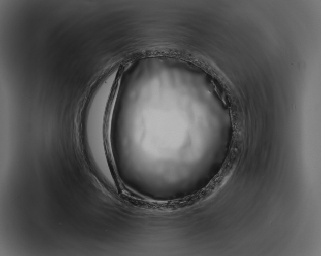 X0000086780585200705111757