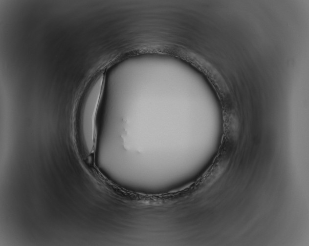 X0000086780586200705111757