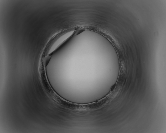 X0000086780587200705111756