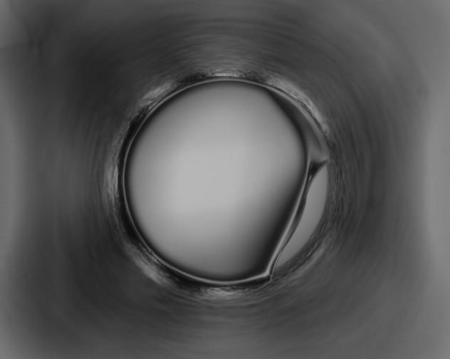 X0000086780589200705111756