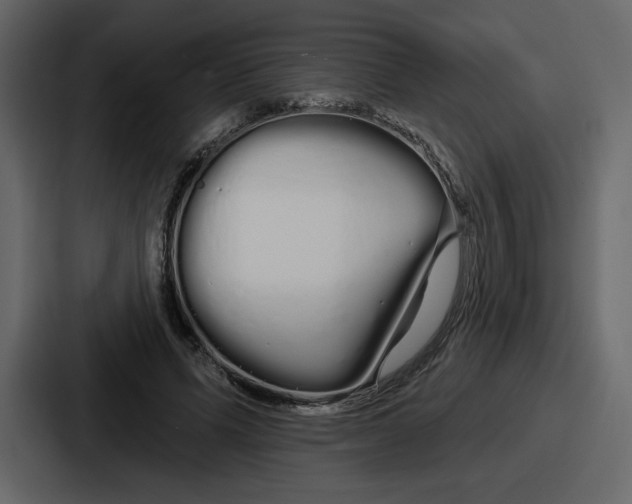 X0000086780591200705111756