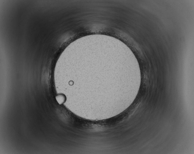 X0000086780592200705111756