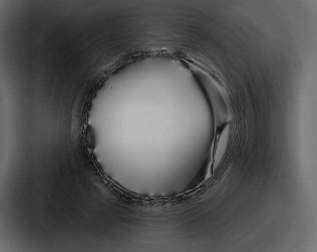 X0000086780593200705111756