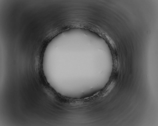 X0000086780594200705111756