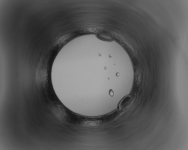 X0000086780595200705111756