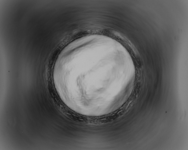 X0000086780598200705111756