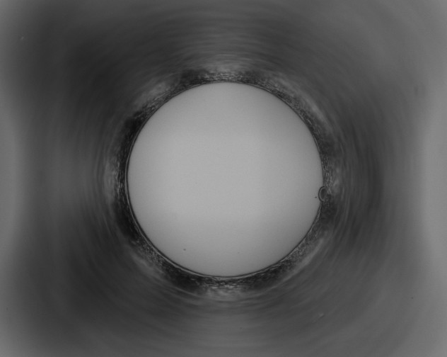 X0000086780599200705111756