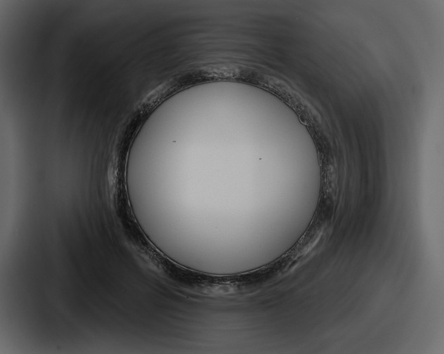 X0000086780600200705111756