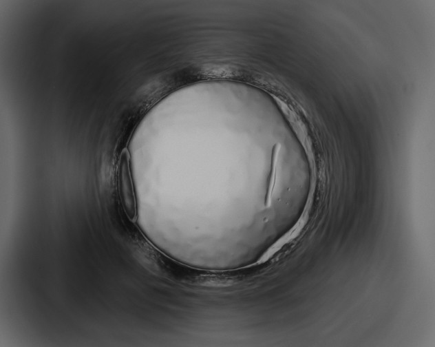 X0000086780601200705111756