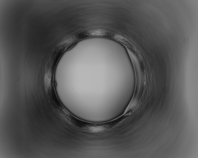 X0000086780604200705111756