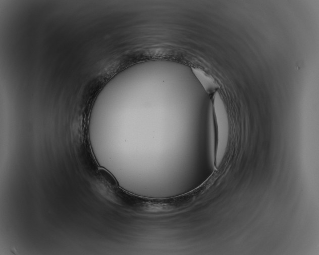 X0000086780605200705111756