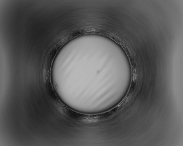 X0000086780606200705111756