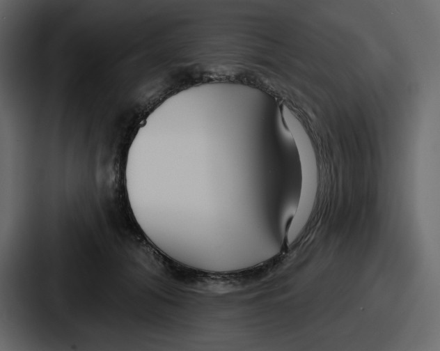 X0000086780608200705111756