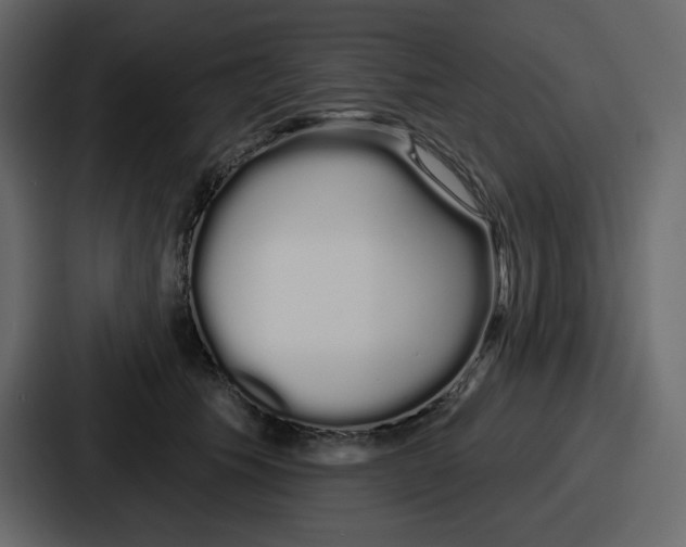 X0000086780609200705111756