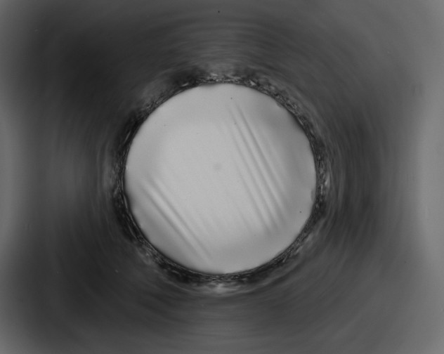 X0000086780610200705111756