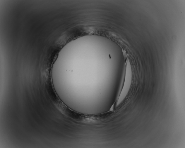 X0000086780611200705111756