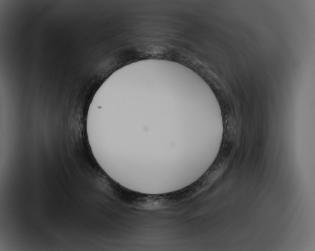 X0000086780612200705111756