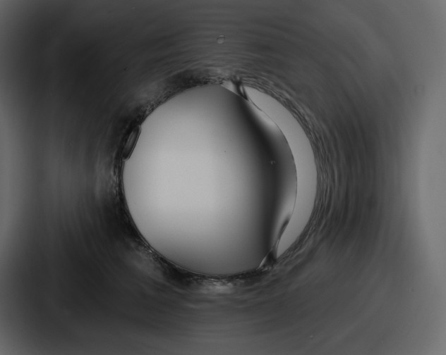 X0000086780613200705111756