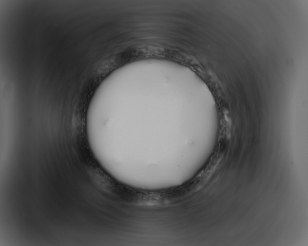 X0000086780614200705111756