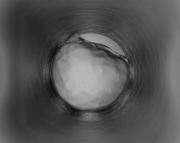 X0000086780617200705111756