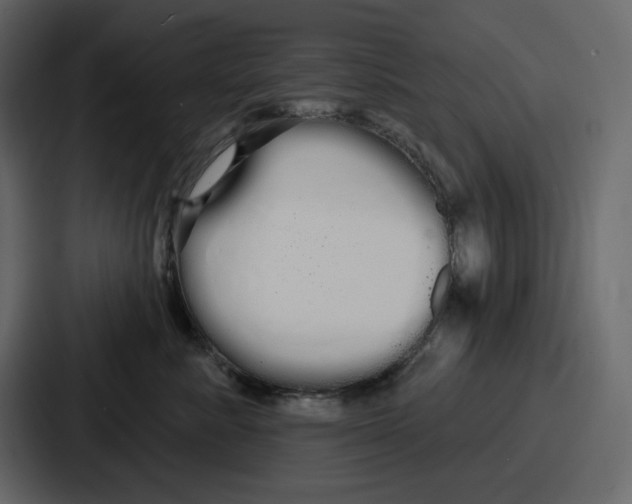 X0000086780619200705111756