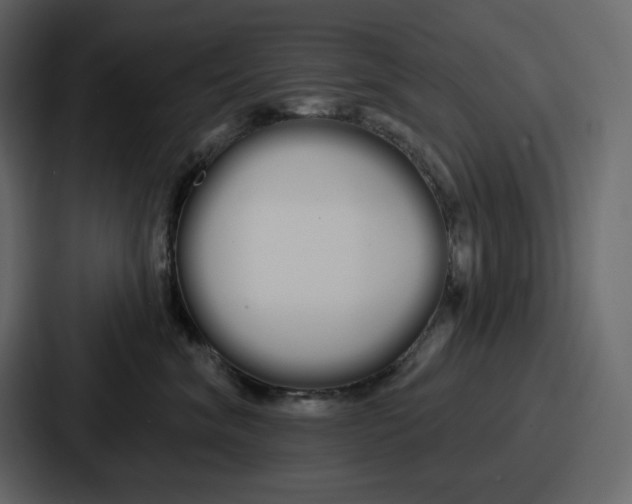 X0000086780620200705111756