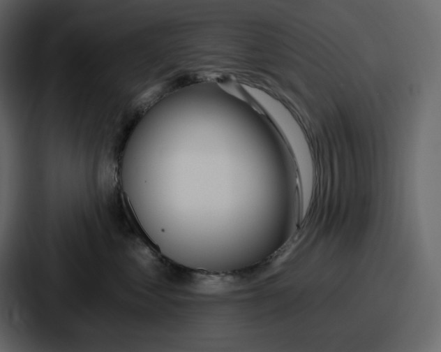 X0000086780621200705111756