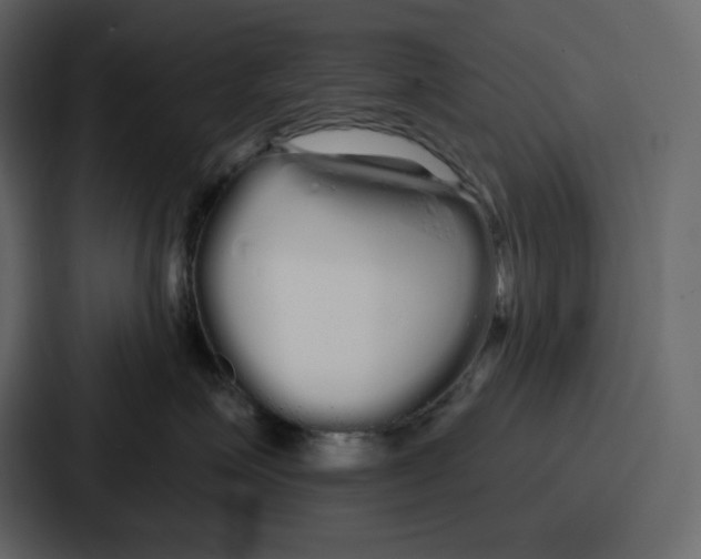 X0000086780623200705111756