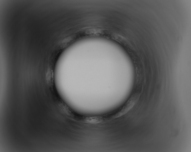 X0000086780624200705111756