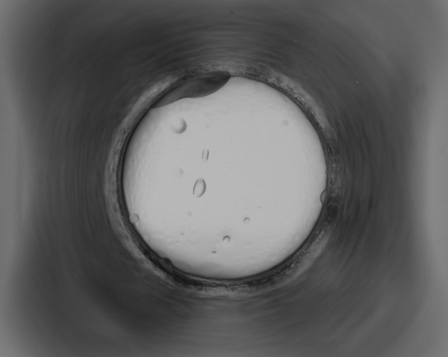 X0000086780625200705111755